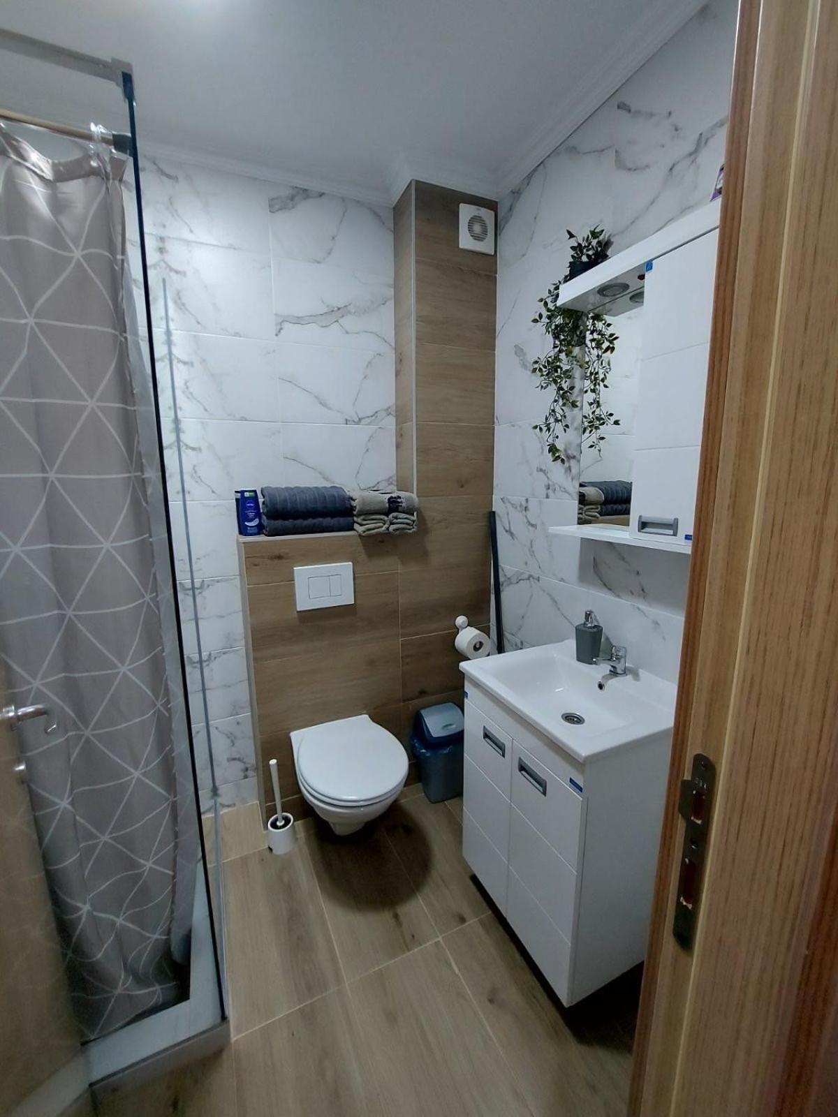 Apartment Davidovic Md 1 *